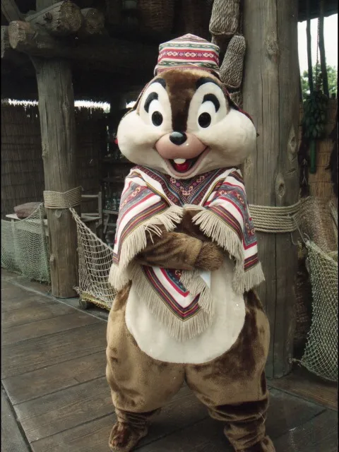 チップ（ロストリバーデルタ）