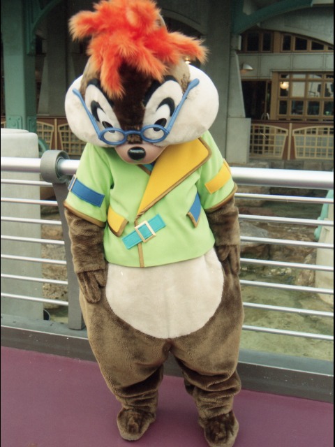 チップ（ポートディスカバリー）