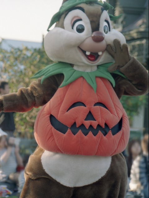 デール（トリック・オア・オリート・ファン）