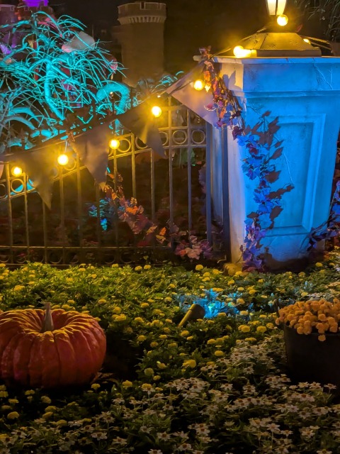 カボチャの庭園（ディズニー・ハロウィーン 2025）