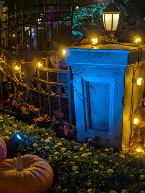 中央花壇（ディズニー・ハロウィーン 2025）