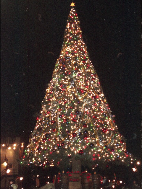 クリスマスツリー（ハーバーサイド・クリスマス 2004）