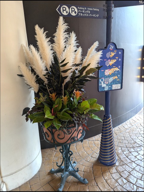 ススキ(IKSPIARI HALLOWEEN)