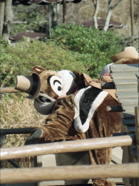 いかだのチップとデール（ウエスタンランド）