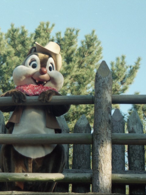 デール（ウエスタンランド）