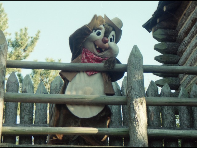 デール（ウエスタンランド）