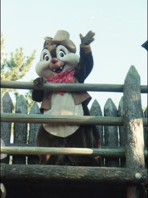 デール（ウエスタンランド）