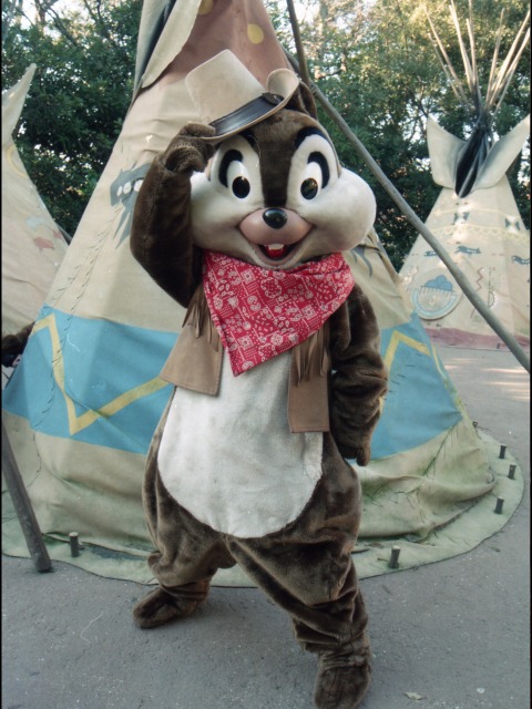 チップ（ウエスタンランド）