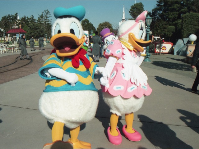 ドナルドとデイジー（トゥーンタウン）