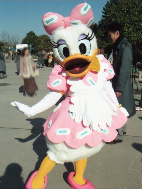 デイジーダック（トゥーンタウン）