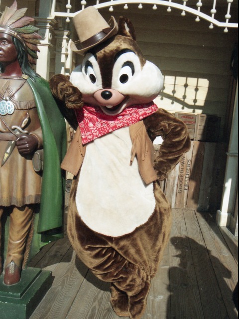 チップ（ウエスタンランド）