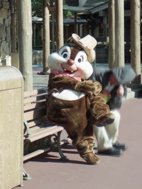 デール（ウエスタンランド）