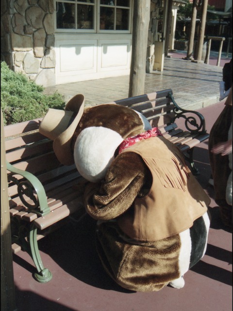 デール（ウエスタンランド）