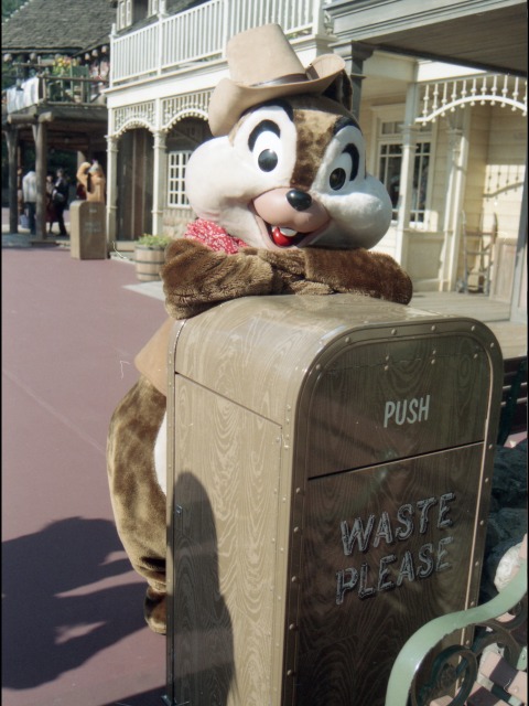 チップ（ウエスタンランド）