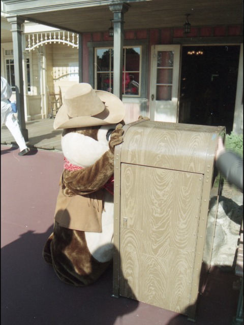 チップ（ウエスタンランド）