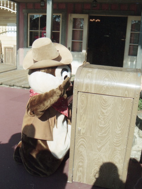 チップ（ウエスタンランド）