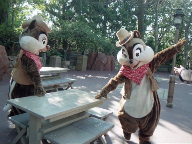 デールとチップ（ウエスタンランド）