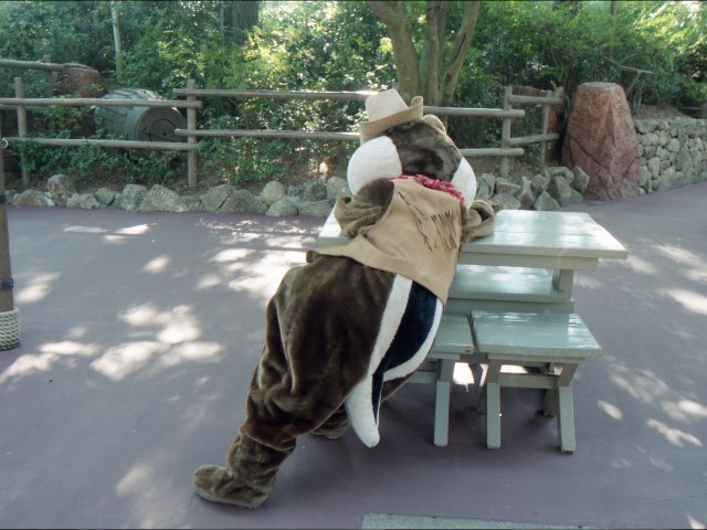 デール（ウエスタンランド）