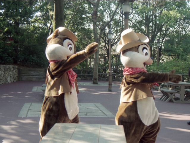 デールとチップ（ウエスタンランド）