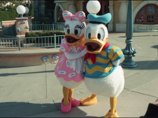 デイジーとドナルド（トゥーンタウン）