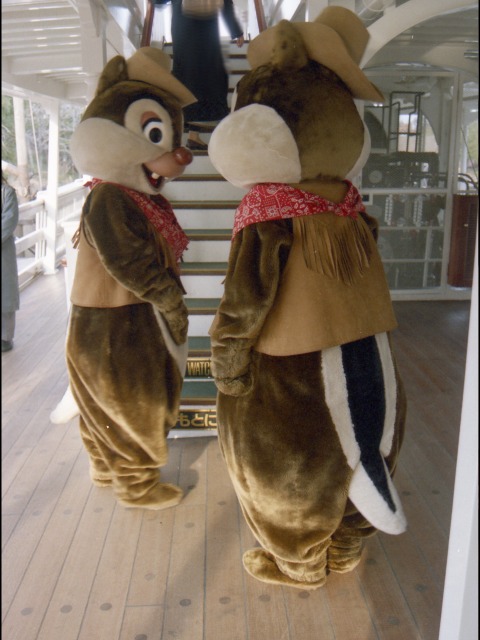 デールとチップ（蒸気船マークトウェイン号）