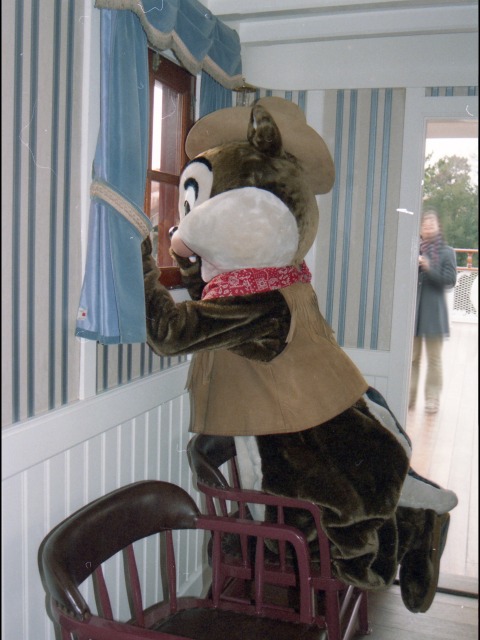 チップ（蒸気船マークトウェイン号）