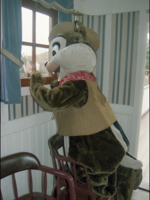 チップ（蒸気船マークトウェイン号）