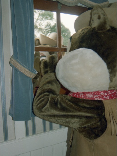 デールとチップ（蒸気船マークトウェイン号）