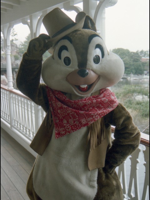 チップ（蒸気船マークトウェイン号）