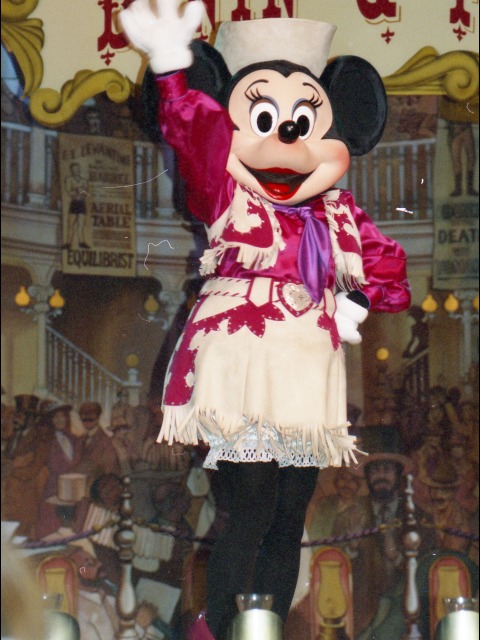 ミニーマウス（スルーフットスーのダイニング＆ファン）