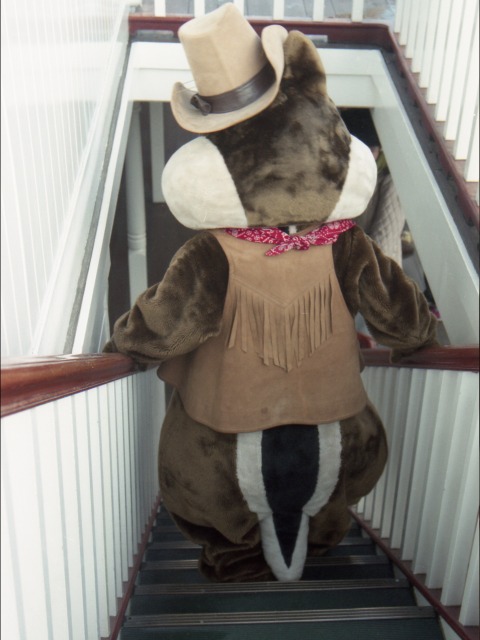 デール（蒸気船マークトウェイン号）