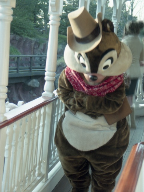 チップ（蒸気船マークトウェイン号）