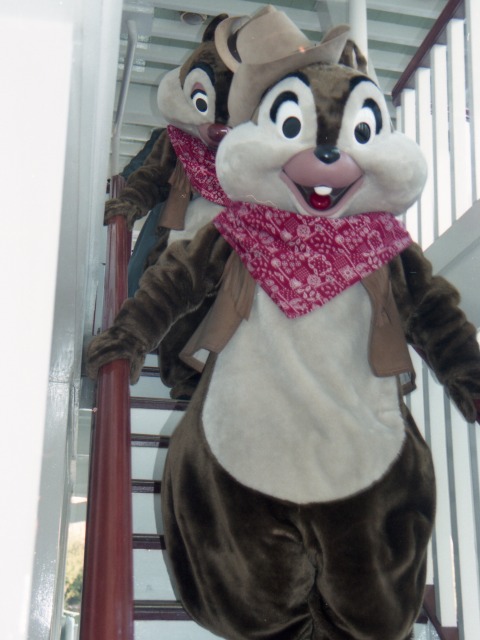 デールとチップ（蒸気船マークトウェイン号）