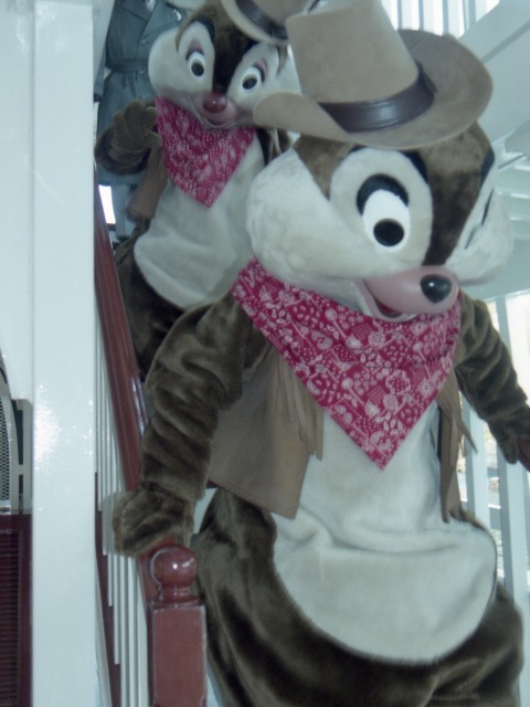 デールとチップ（蒸気船マークトウェイン号）