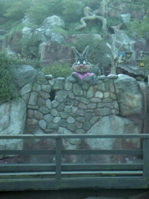 ブレア・ラビット（クリッターカントリー）