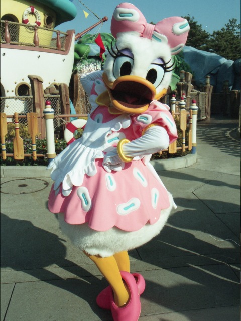 デイジーダック（トゥーンタウン）