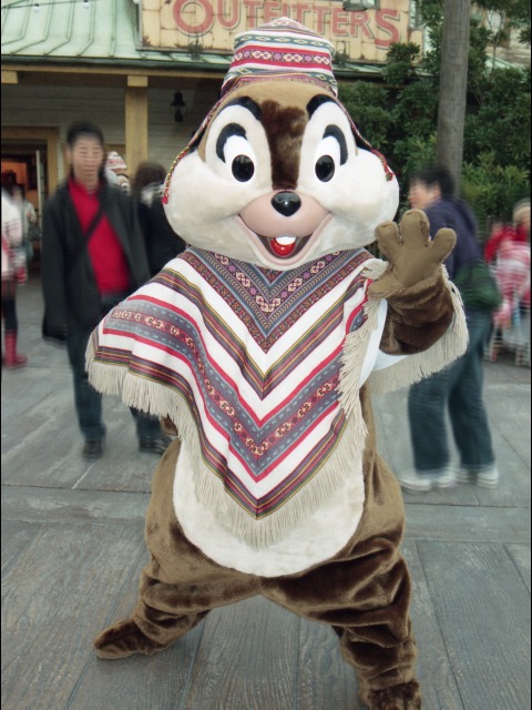 チップ(ロストリバーデルタ)