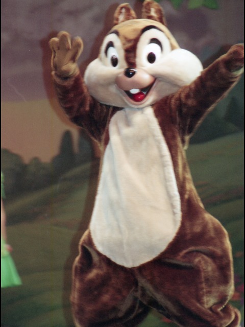 チップ（ワンマンズ・ドリームⅡ－ザ・マジック・リブズ・オン）