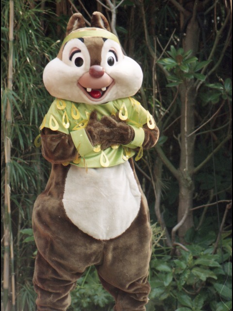 デール（ミニー・オー！ミニー）