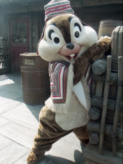 チップ(ロストリバーデルタ)