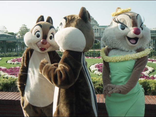 デール、チップ、クラリス(エントランス)