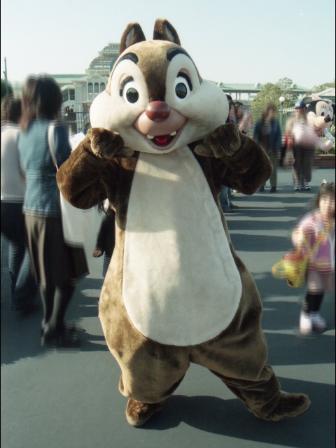 デール(エントランス)