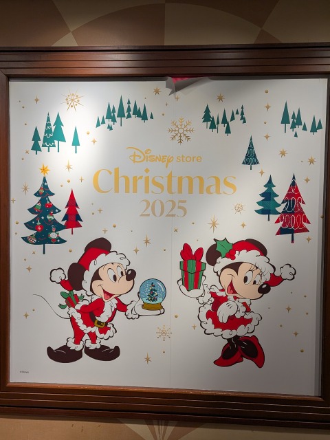 ミッキーとミニーのサンタ(ディズニーストア)