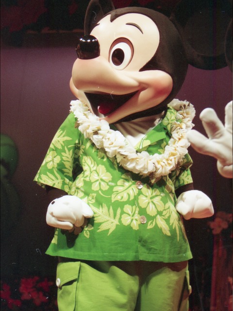 ミッキーマウス（リロのルアウ＆ファン）