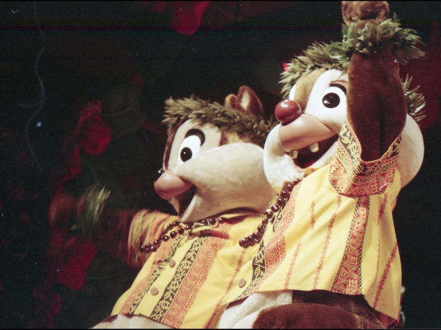 チップ、デール（リロのルアウ＆ファン）