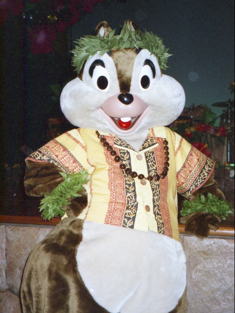 チップ（リロのルアウ＆ファン）