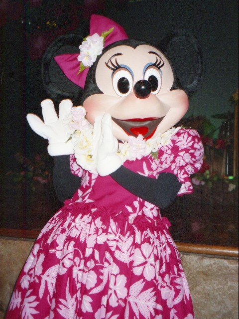 ミニーマウス（リロのルアウ＆ファン）