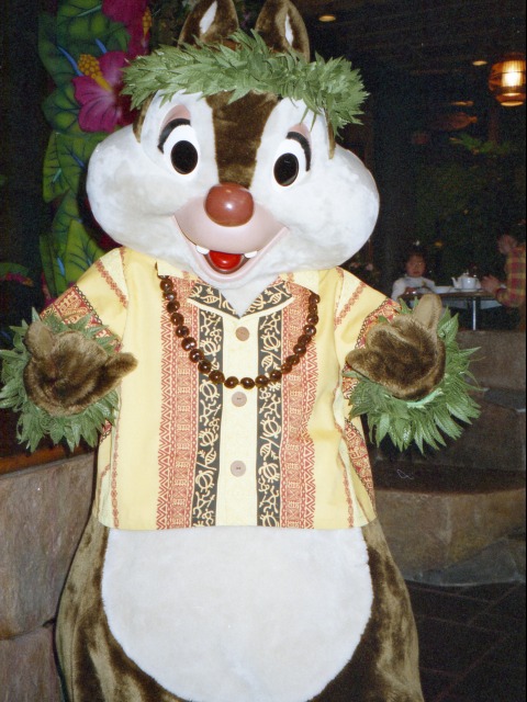 デール（リロのルアウ＆ファン）