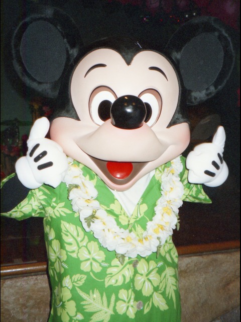 ミッキーマウス（リロのルアウ＆ファン）