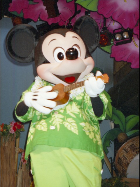 ミッキーマウス（リロのルアウ＆ファン）